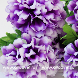 искусственные цветы хризантемы цвета фиолетовый с белым 15