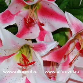 искусственные цветы лилии цвета розовый с белым 14