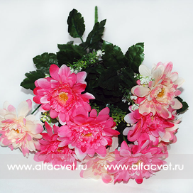 искусственные цветы маргаритки цвета белый с розовым 19