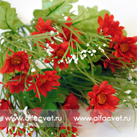 искусственные цветы букет ромашек с добавкой кашка цвета красный 4