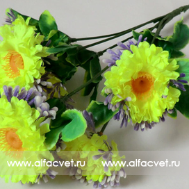 искусственные цветы букет маргариток (розетка) цвета салатовый 39