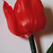искусственные цветы тюльпан цвета красный 4