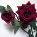 искусственные цветы ветка роз цвета бордовый 61